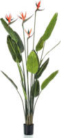 Emerald Kunstplant In Pot Strelitzia Met 4 Bloemen 150 Cm