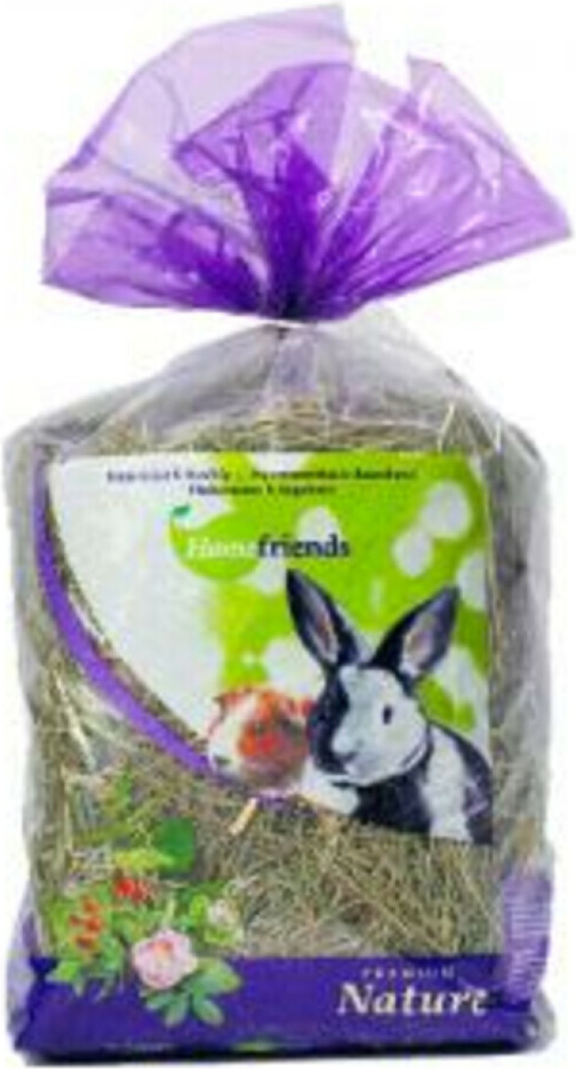 Home Friends Kruidenhooi Mint - Rozenbottel 500 gr