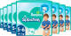 8x Pampers Splashers Zwemluiers Maat 5 (14 kg+) 10 stuks