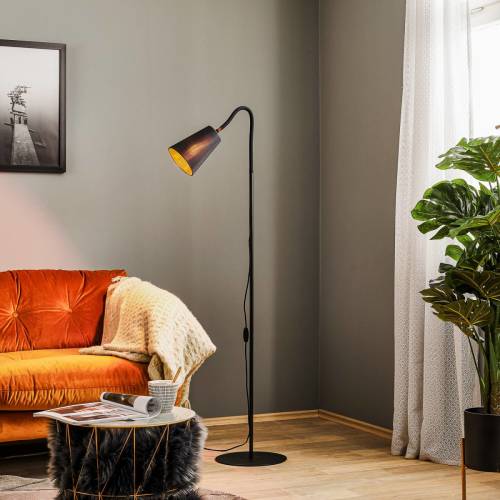 EULUNA Vloerlamp Wire, zwart-goud