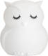 Pauleen Good Night Owl LED nachtlamp kleurverand.