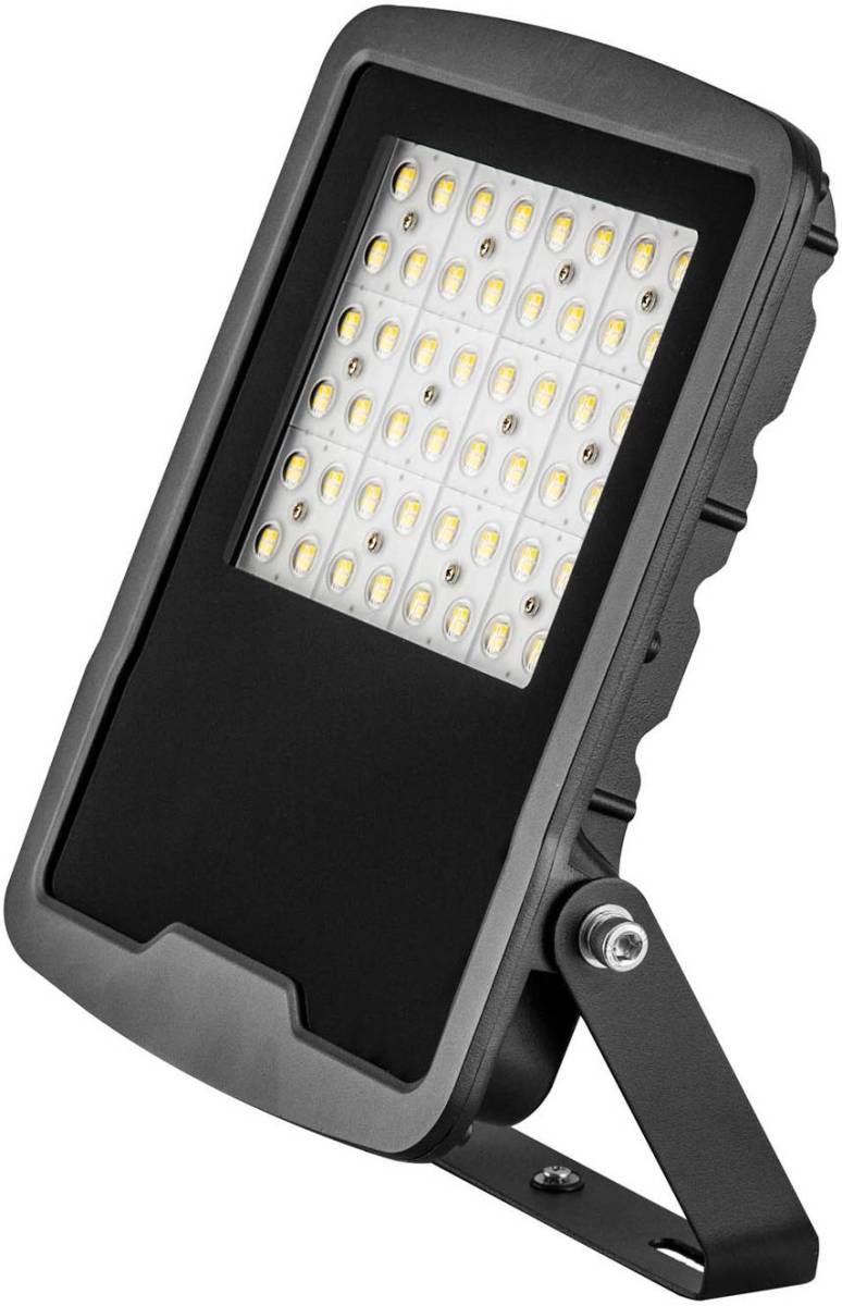 EVN Panthera LED buitenspot IP65 100W 4.000K