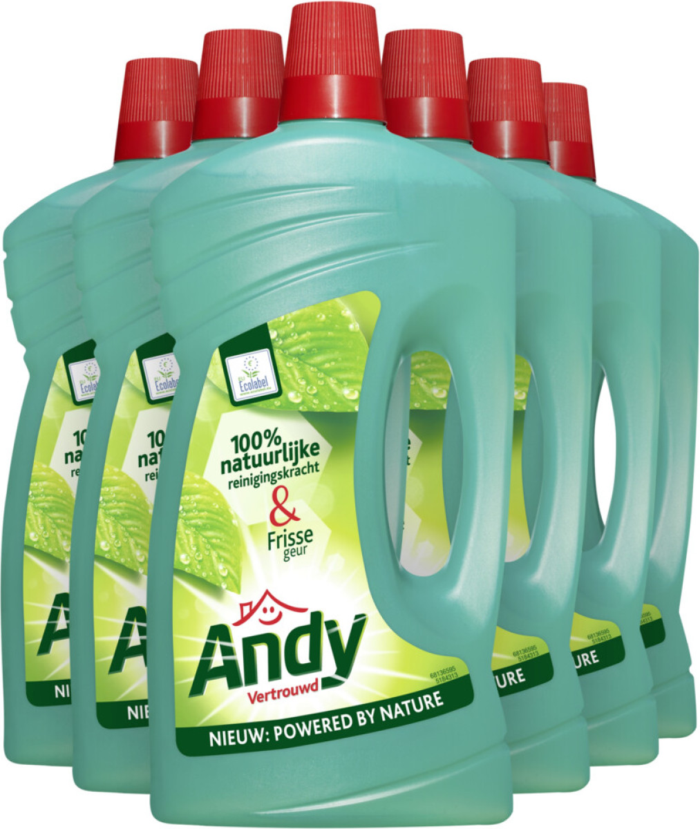 6x Andy Allesreiniger Vertrouwd 1000 ml