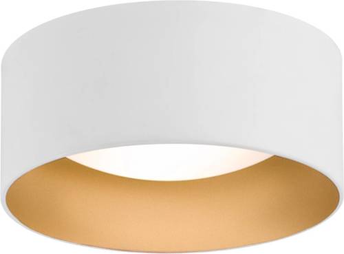 EULUNA Plafondlamp Moss, wit/goud