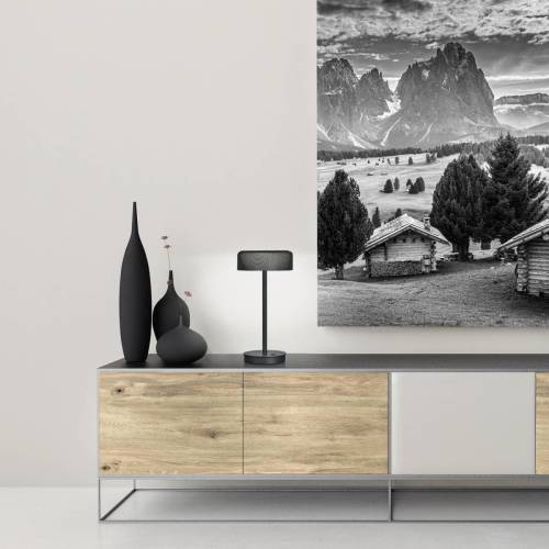 BANKAMP mesh LED tafellamp met dimmer, zwart