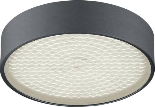 BANKAMP Drum LED plafondlamp, mat antraciet