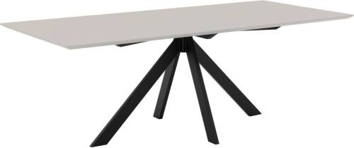 Goossens Eettafel Invincible, Rechthoekig 260 x 100 cm