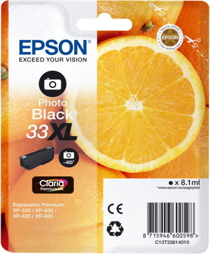Epson 33XL Cartridge Fotozwart