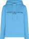 Tommy hilfiger hoodie met logo en borduursels blauw