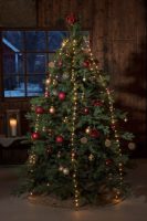 Konstsmide Led-lichtgordijn Led-boomverlichting met ring ø 11, led druppel, 5 strengen à 48 dioden (1 stuk)