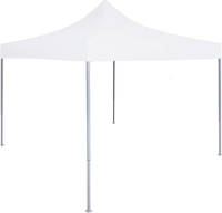 VidaXL Partytent Professioneel Inklapbaar 2x2 M Staal Wit
