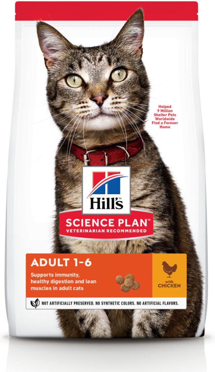 Hill's Feline Adult Kip 300 gr