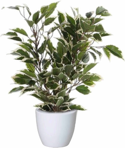 Mica Decorations Groen/witte Ficus Kunstplant 40 Cm Met Plantenpot Glanzend Wit D13.5 En H12.5 Cm - Kunstplanten