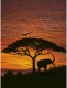 Komar Fotobehang National Geographic African Sunset 194x270 cm 4-501
