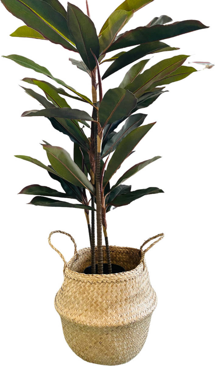 Hem Levensechte Kunst Dracaena 117 Cm Met Zwarte Pot- Kunst Dracena
