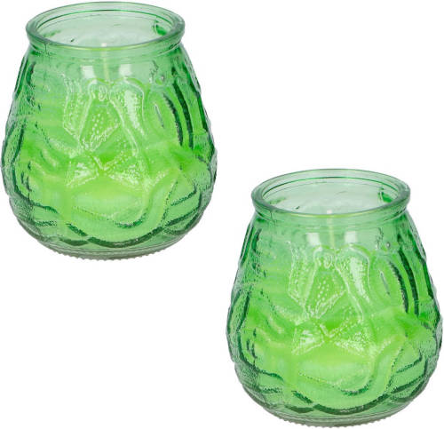 Arti Casa Set Van 2x Stuks Citronella Lowboy Tuin Kaarsen In Groen Glas 10 Cm - Anti Muggen/insecten Artikelen