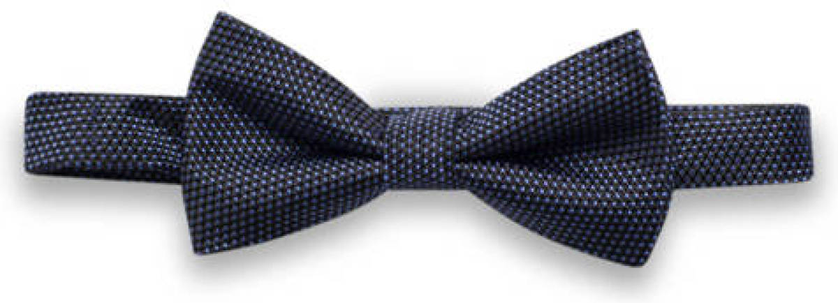 WE Fashion zijden vlinderdas marine