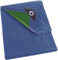 Perel Dekzeil - Blauw/groen - Standaard - 5 X 8 M