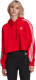 adidas Originals Adicolor hoodie rood/wit