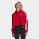 adidas Originals Adicolor hoodie rood/wit