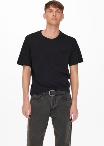 ONLY & SONS regular fit T-shirt ONSROY black