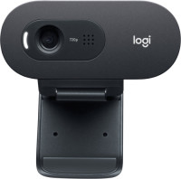 Logitech C505 HD Webcam