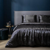 Fresh & Co Dekbedovertrek Silk Satin - Antraciet Lits-jumeaux (240 x 220 cm + 2 kussenslopen)