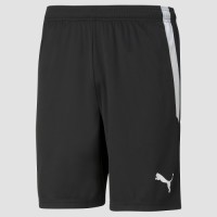 Puma sportshort teamLIGA zwart
