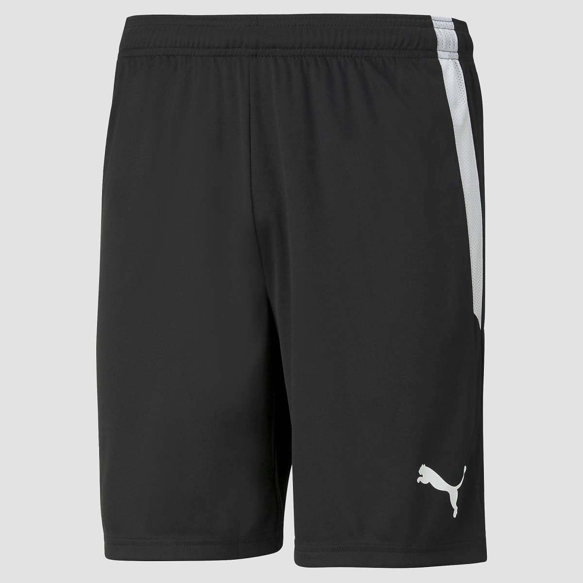 Puma sportshort teamLIGA zwart