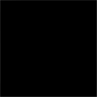 Bresser BR-9 Achtergronddoek 3x4m Zwart