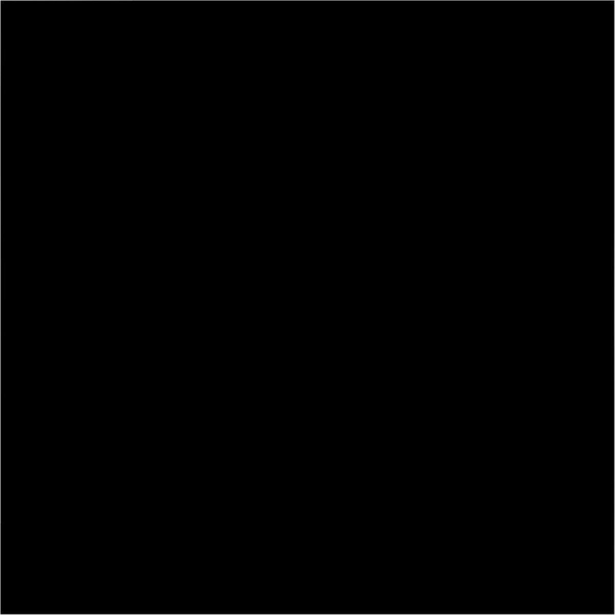 Bresser BR-9 Achtergronddoek 3x4m Zwart