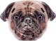 Intex luchtbed Pug Face hond