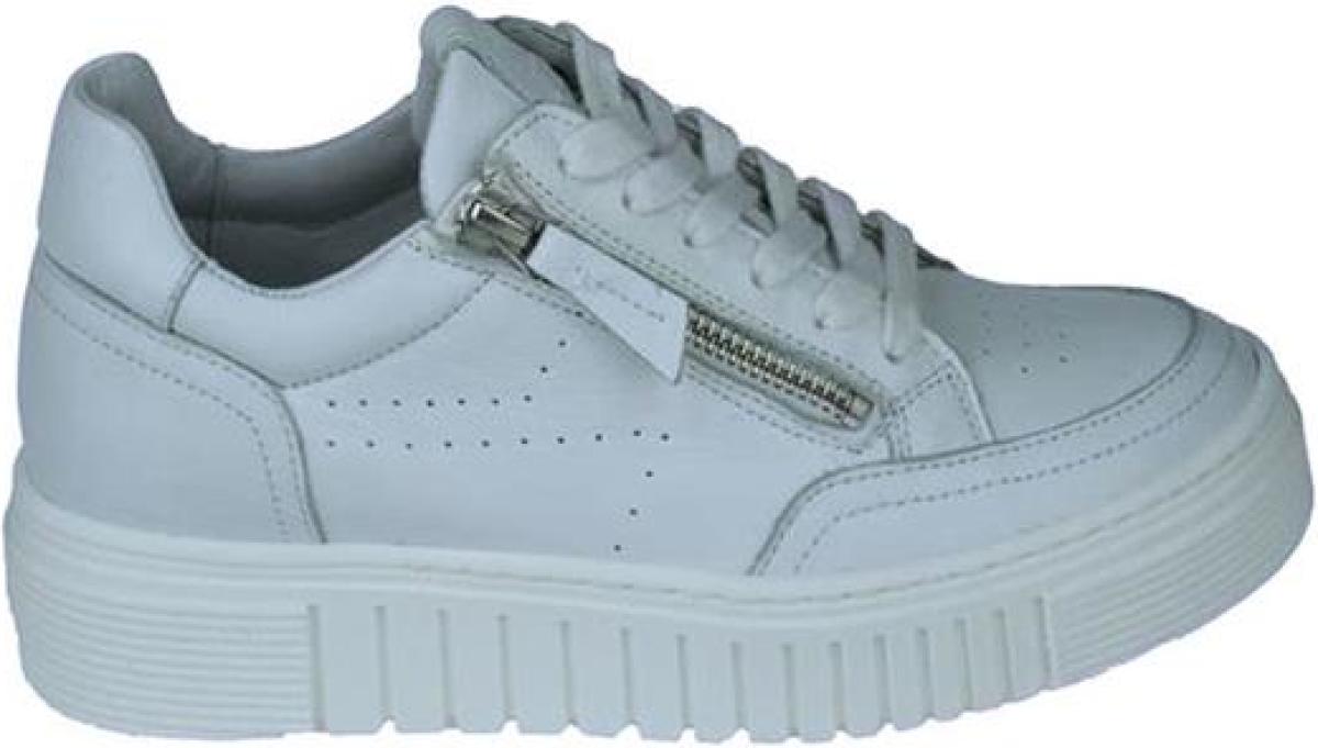 Aqa shoes A8035
