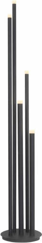 Highlight Vloerlamp Tubes 5 Lichts H 155 Cm Zwart