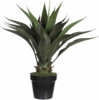 Mica Decorations kunstplant Agave (h60 cm)