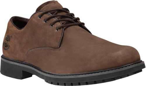Nette schoenen Timberland  EK STORMBUCK PLAIN TOE OXFORD