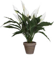 Mica Decorations kunstplant Spathiphyllum (h50 cm)