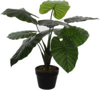 Mica Decorations kunstplant Taro (h60 cm)