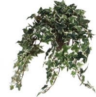 Mica Decorations kunstplant Hedera (h25 cm)