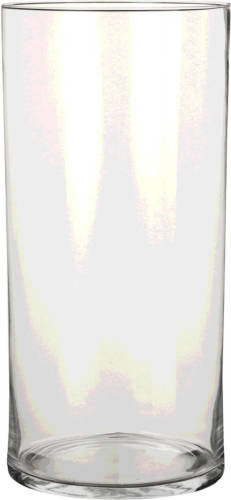 Mica Decorations 1x Ronde Bloemen Vaas/vazen Van Helder Glas 40 Cm - Voor Verse Of Kunst Bloemen En Boeketten - Glazen Vazen Transparant