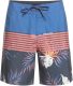 Quiksilver Boardshort Everyday Division 17