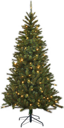 Black Box verlichte kerstboom Kingston (h215 x ø117cm)