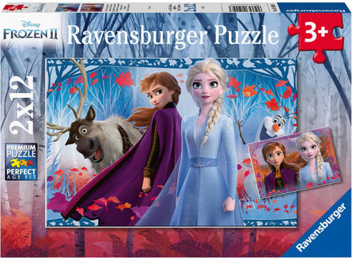 Ravensburger Disney Frozen 2 legpuzzel 24 stukjes