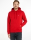 Tommy Jeans Hoodie TJM REGULAR FLEECE HOODIE