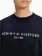 Tommy hilfiger sweater met logo desert sky