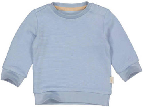 LEVV newborn baby gestreepte sweater LNEELTJENOS blue dust