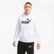 Sweater Puma  ESS BIG LOGO HOODIE FL