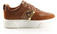 Cycleur de luxe Lauren