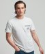 Superdry T-shirt met logo glacier grey marl