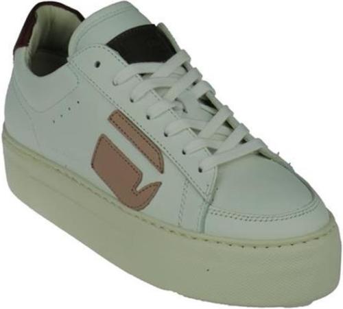 G-star LOAM II POP W